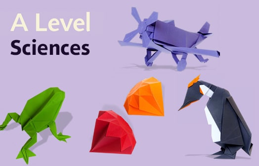 A Level Science