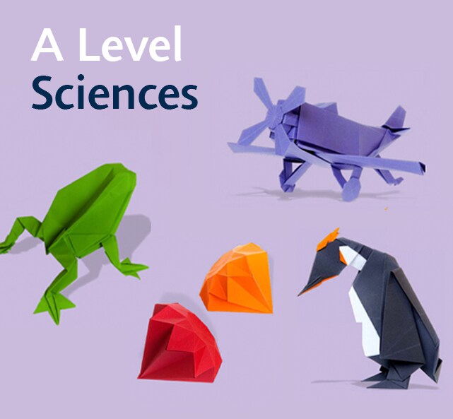 A Level Sciences