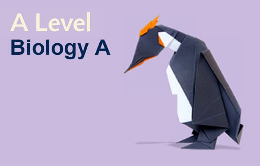 A Level Biology A: Exam Insights May/June 2024