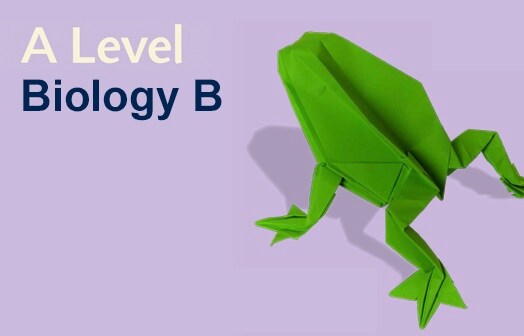 Pearson Edexcel A Level Biology B Summer 2023 Feedback Pearson Edexcel A Level Biology B Summer 2023 Feedback