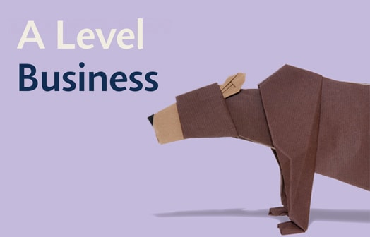 A Level Business