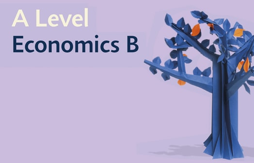Pearson Edexcel A Level Economics B: New to Edexcel (Pre-record)