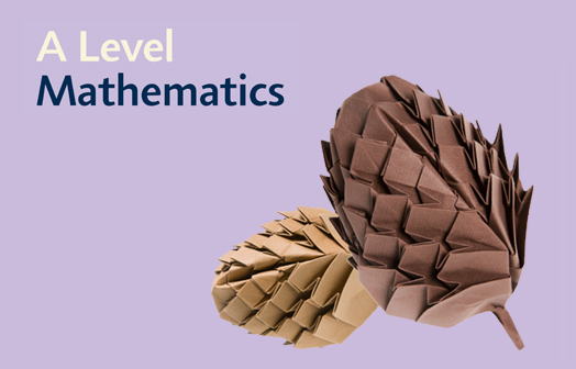 A Level Maths: Deep Dive into Differentiation