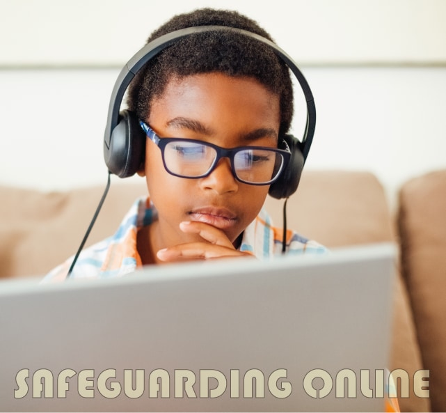 Safeguarding online